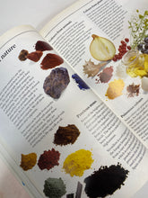 Load image into Gallery viewer, Looking At Art
