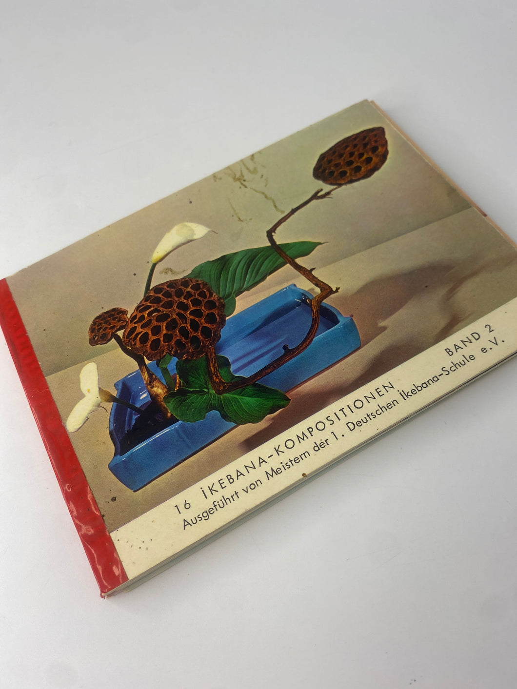 ikebana - KOMPOSITIONEN Post Cards