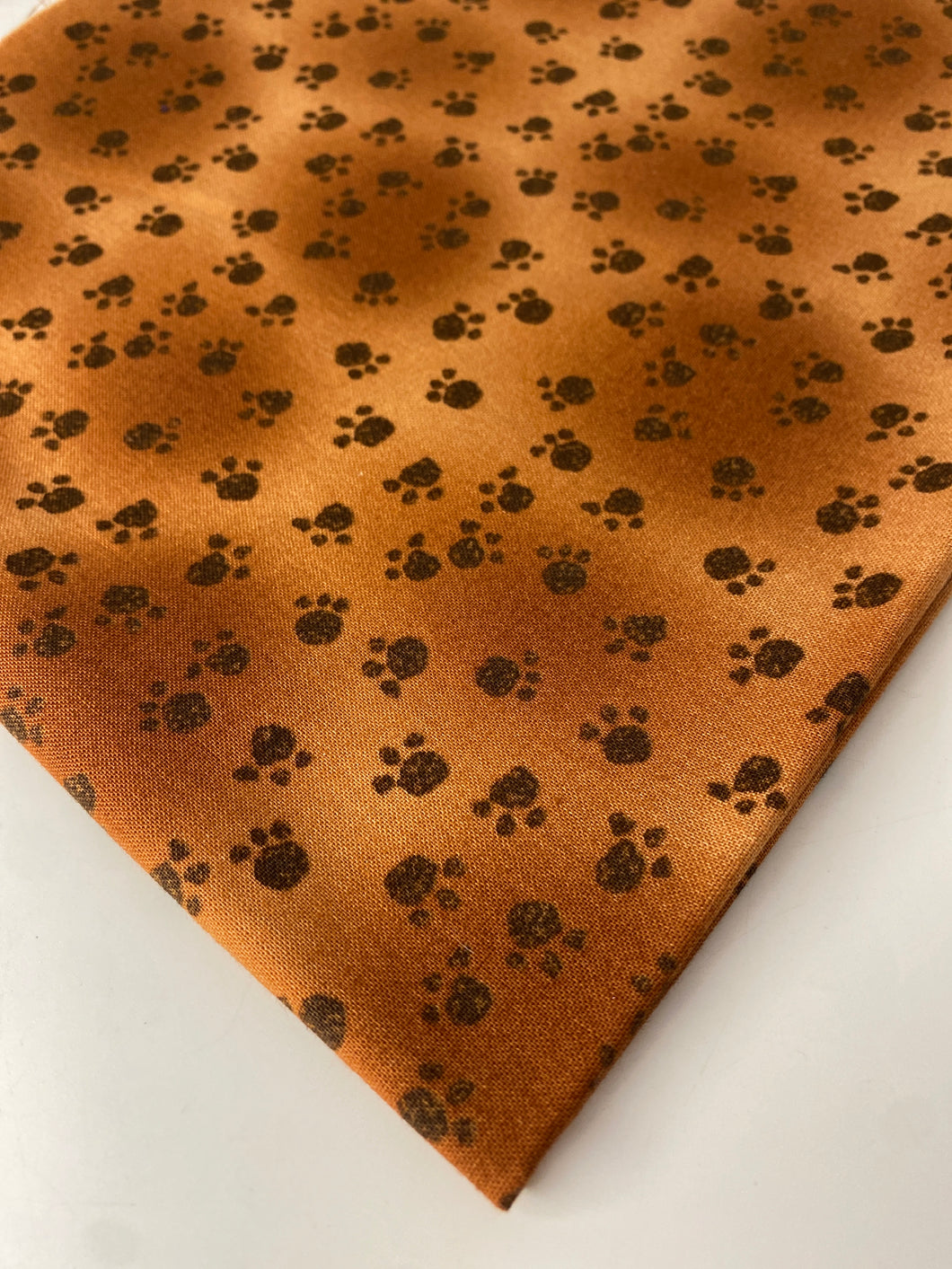 Pawprints