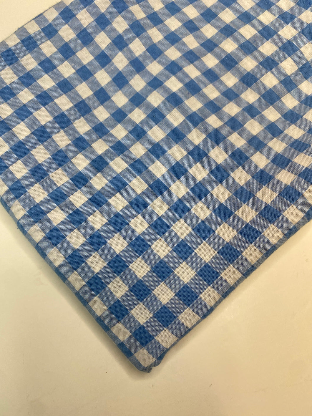 Blue & White Check