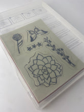 Load image into Gallery viewer, Stampin&#39; Up | Nature&#39;s Perfection
