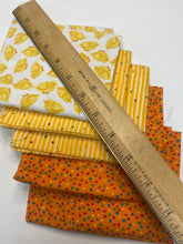 Load image into Gallery viewer, Spring Chicken Bundle
