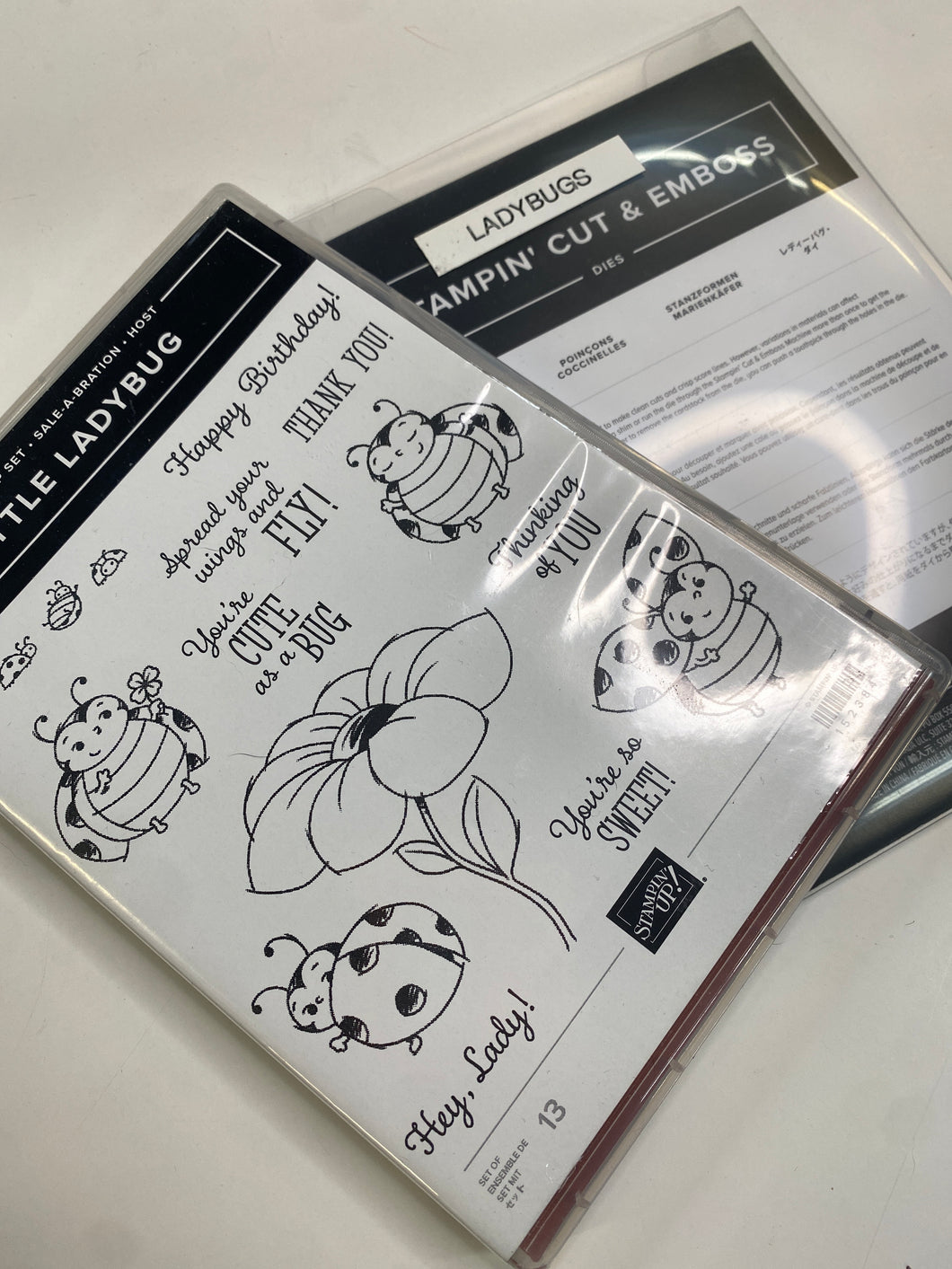 Stampin' Up | Little Ladybug