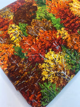 Load image into Gallery viewer, Autumn Trees
