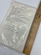 Load image into Gallery viewer, Afternoon Stroll
