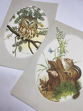 Load image into Gallery viewer, Woodland Prints
