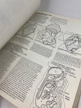 Load image into Gallery viewer, The Anatomy Coloring Book
