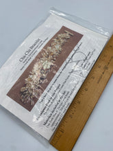 Load image into Gallery viewer, The Cha-Cha Bracelet Kit

