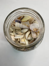 Load image into Gallery viewer, Jar o' Shells: Mini
