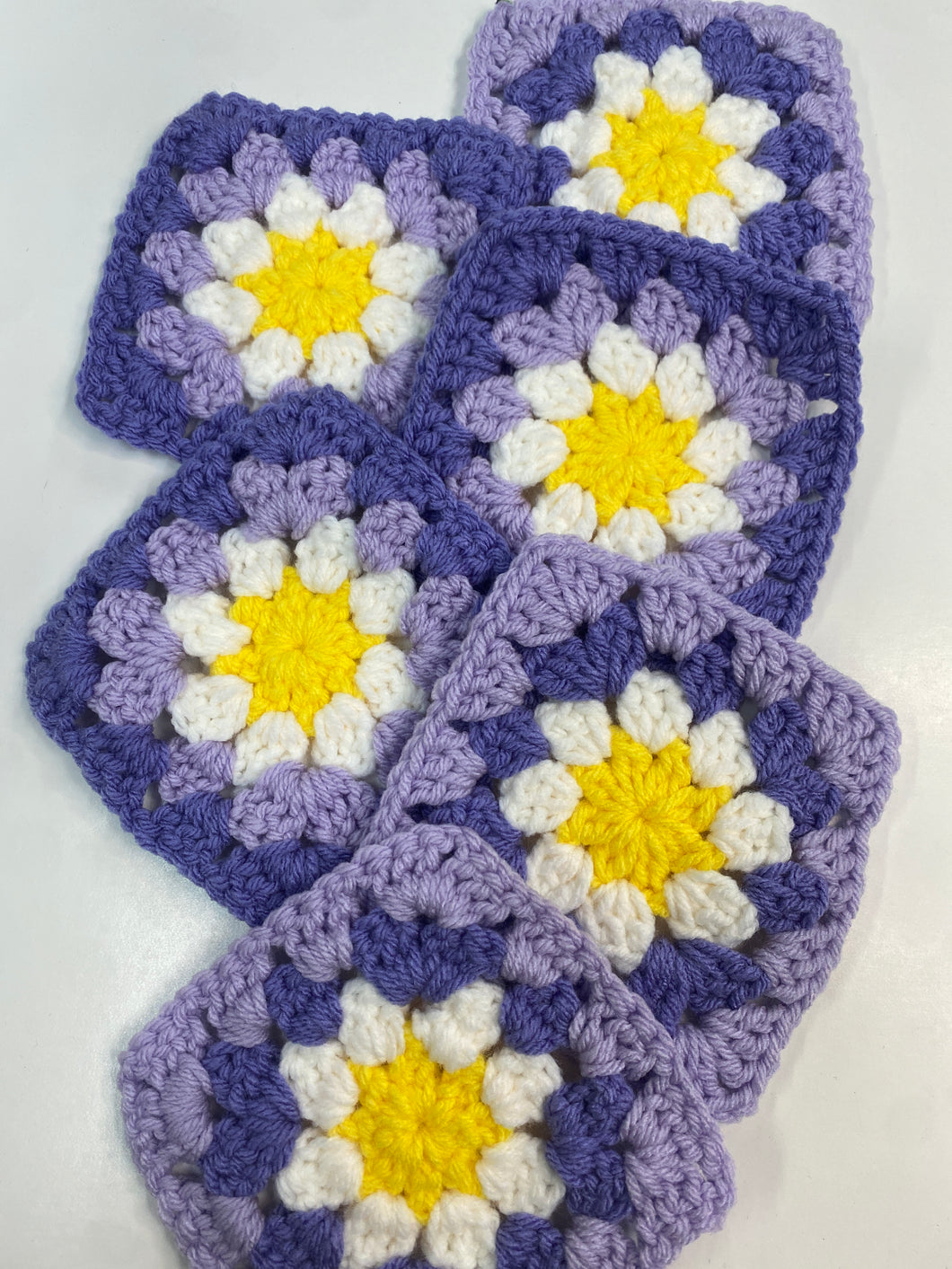 Daisy Squares