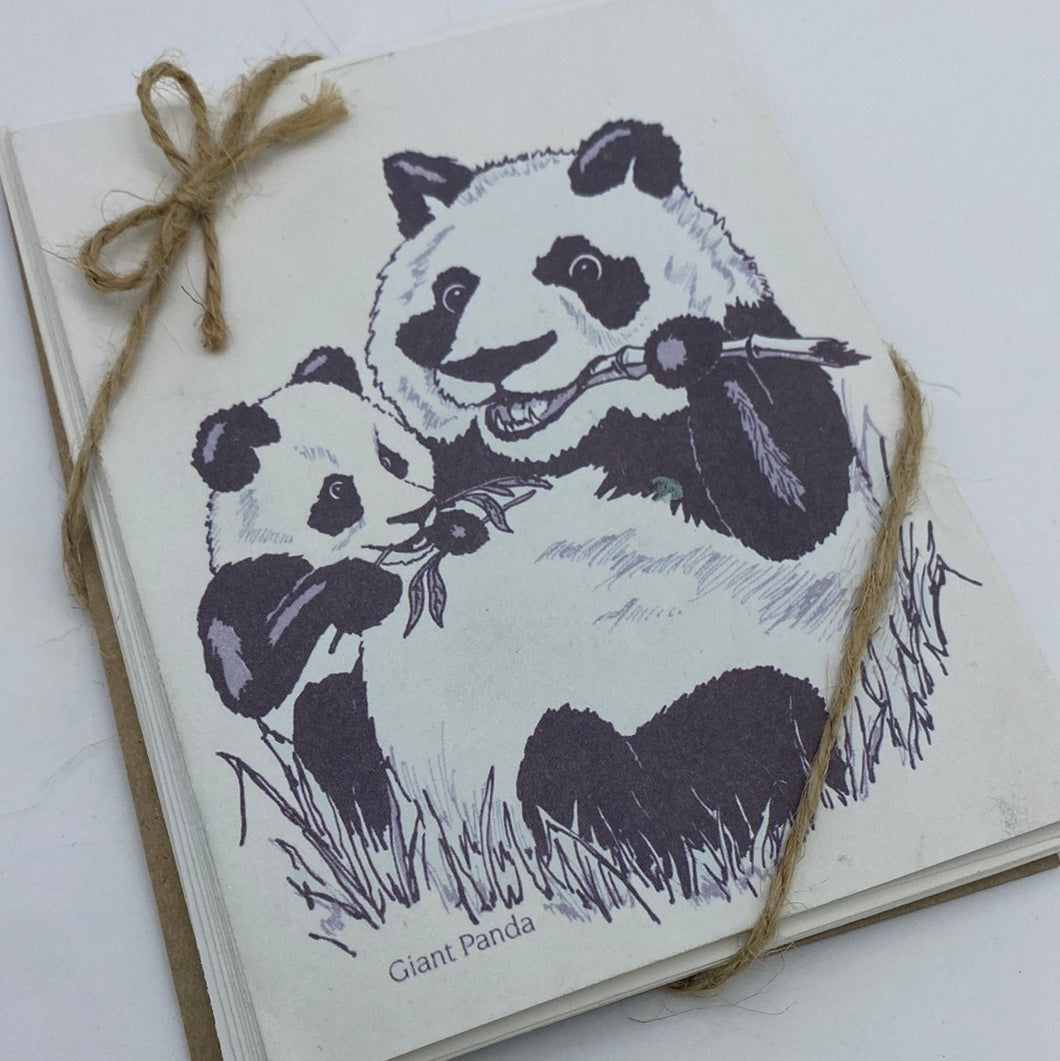 Giant Panda Cards