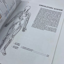 Load image into Gallery viewer, Human Anatomy Coloring Book
