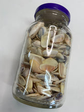 Load image into Gallery viewer, Jar o' Shells: Mini
