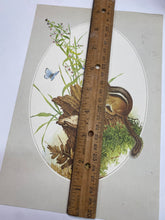 Load image into Gallery viewer, Woodland Prints
