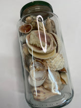 Load image into Gallery viewer, Jar o' Shells

